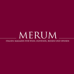 Merum 2020 – SassoStorno Lambrusco Grasparossa secco