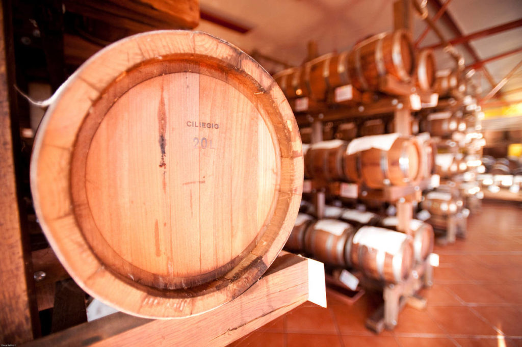 About us Our Family history Zanasi Società Agricola