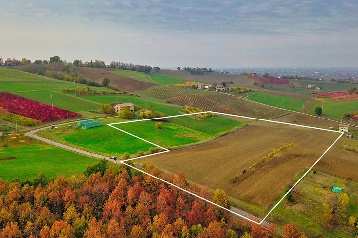 zanasi-nuovo-vigneto-area